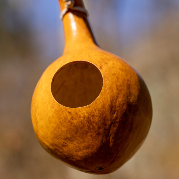 Calabash Gourd Bird House FairTrade Caravans